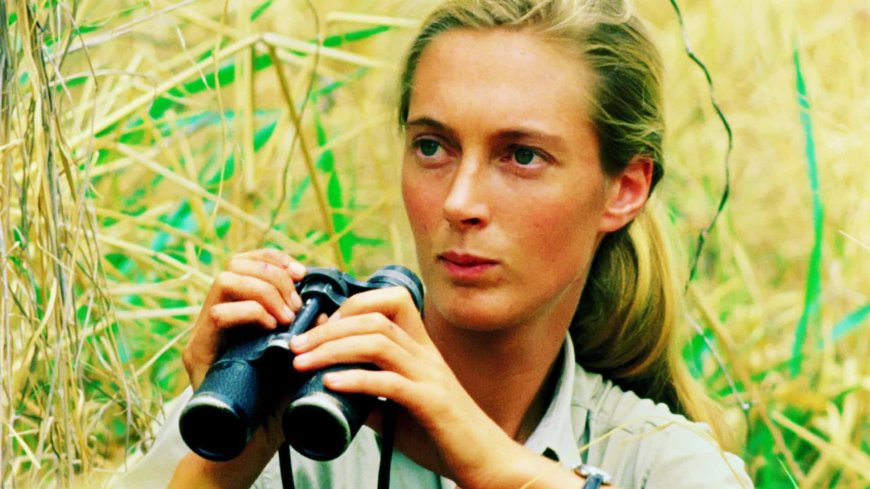 Jane Goodall: Pioneering Primatologist and Conservationist